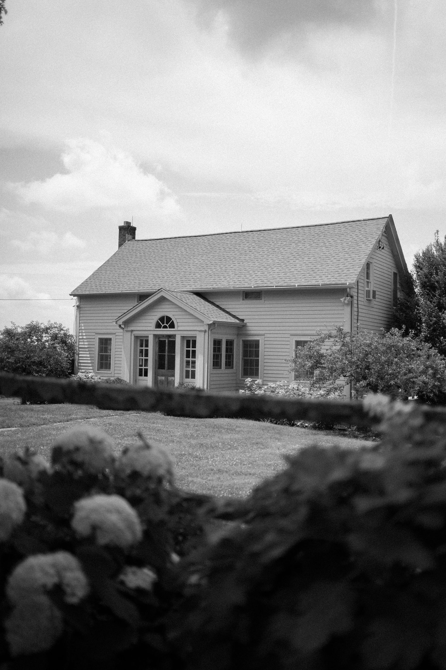 A black and white panoramic view of a white farmhouse with windows and hydrangea bushes in the foreground.