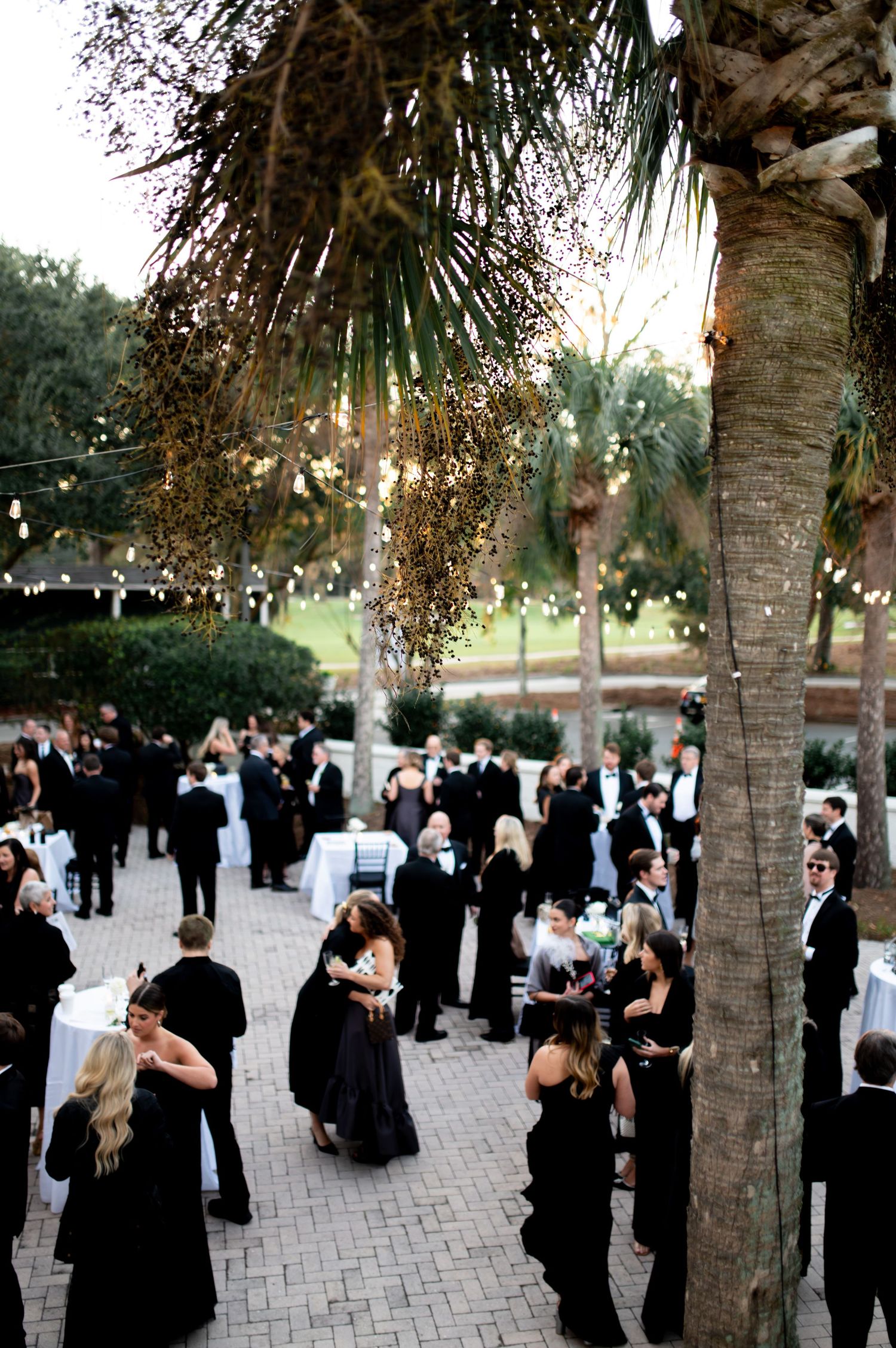 Formal outdoor wedding reception with guests mingling under palm trees at dusk.