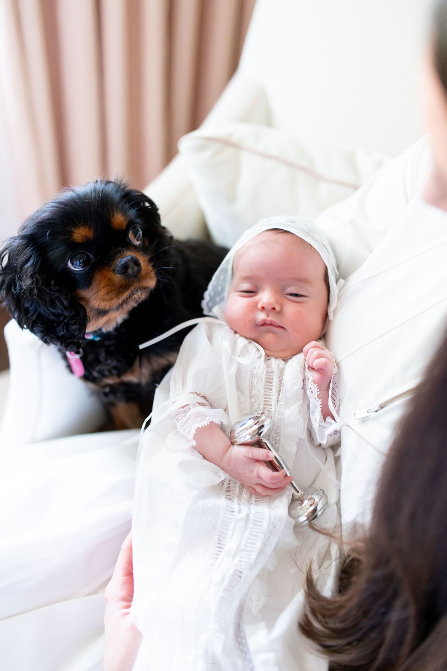 Sweet moments with a small black and tan dog meeting a baby in white clothing.