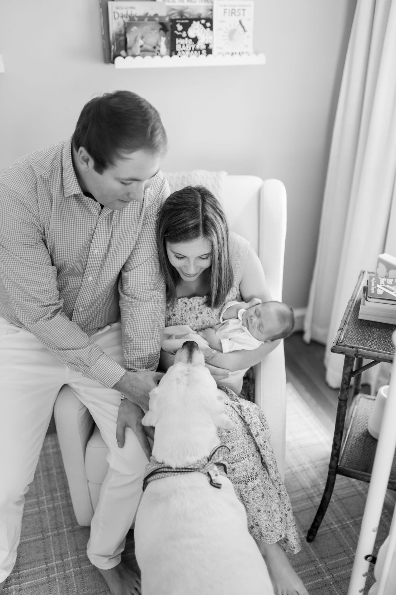 Black and white photo series of a couple interacting with their white dog in a cozy room setting.