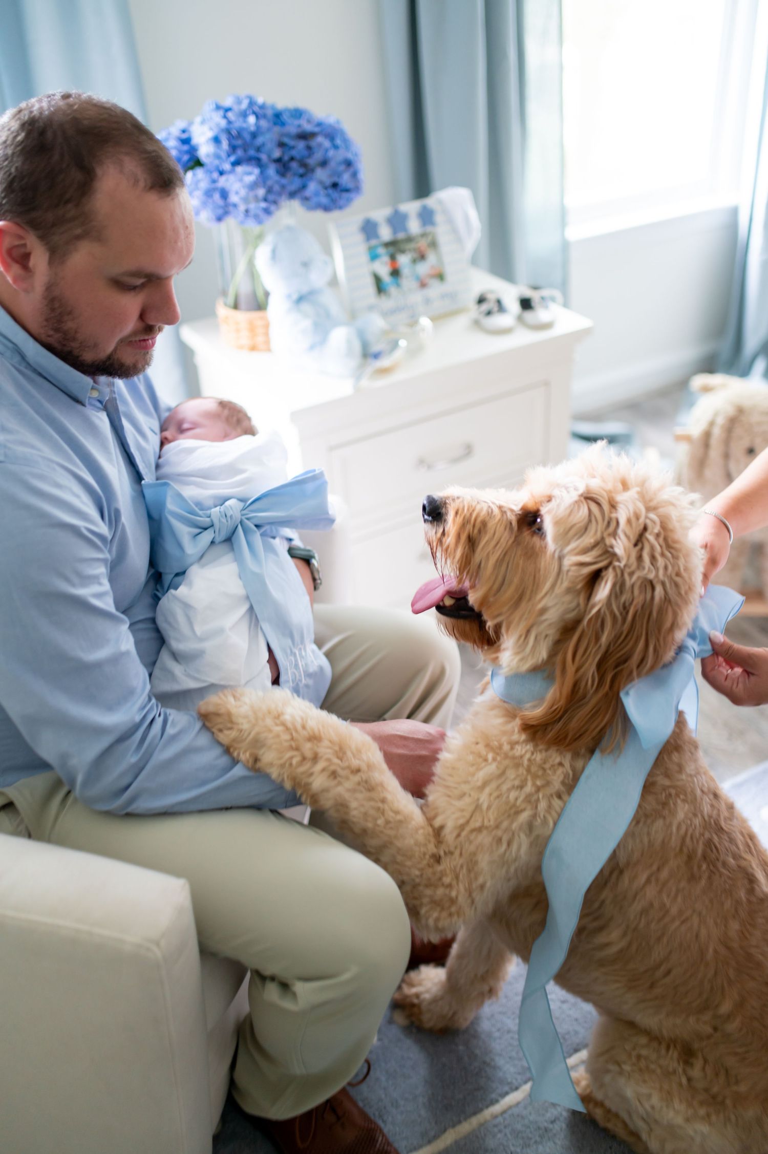 A golden dog wearing a blue bow watches as someone holds a baby in a bright nursery.