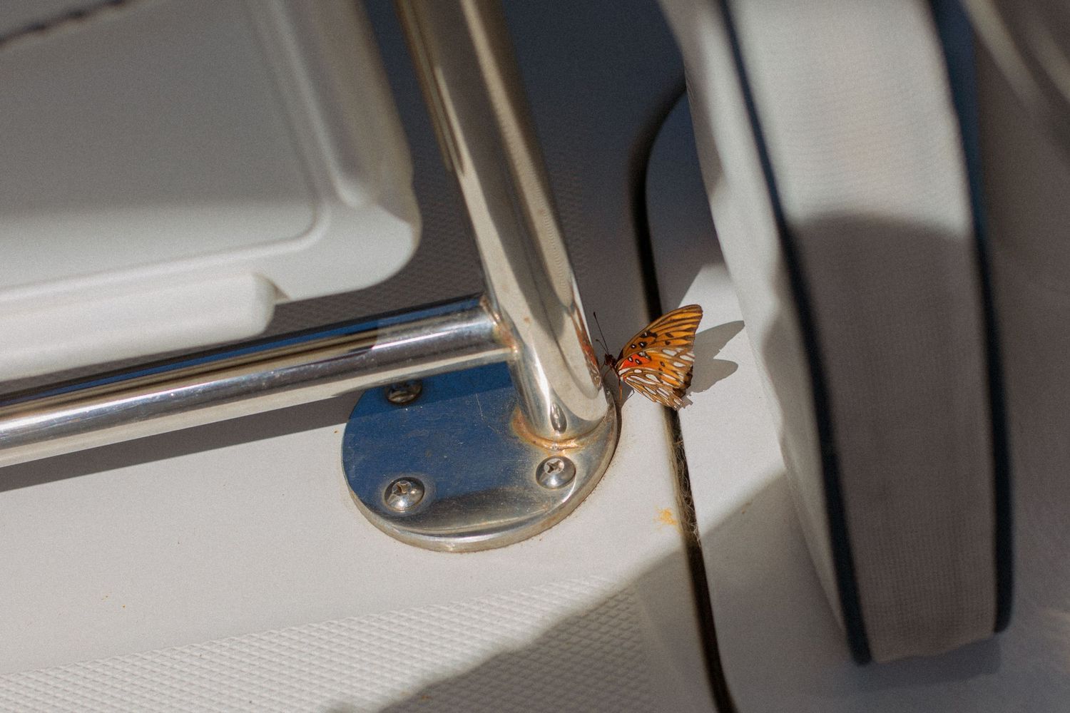 Close-up of a decorative butterfly ornament on a white sailboat railing fitting.