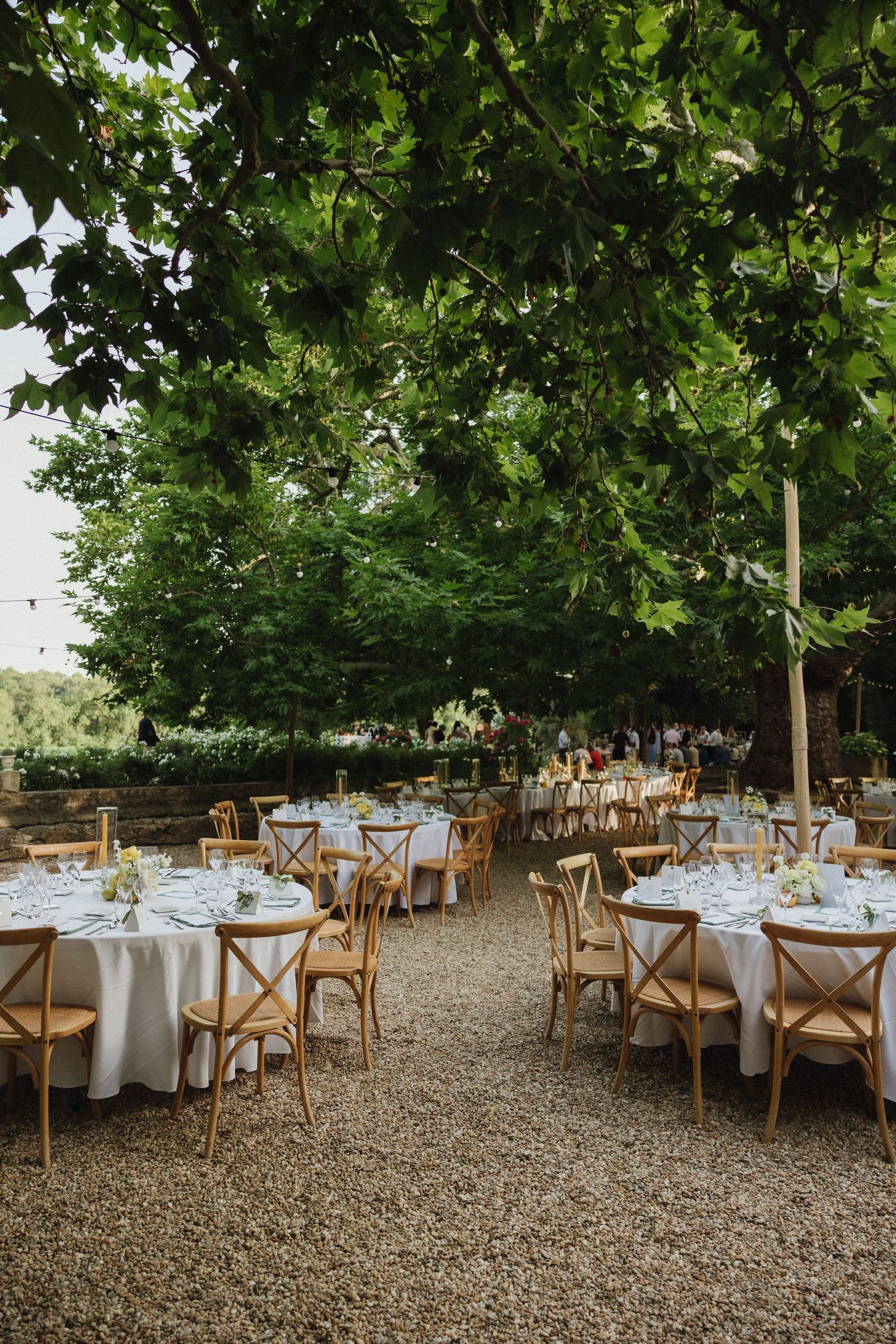An elegant outdoor wedding reception setup with round tables and wooden chairs under a canopy of green trees.