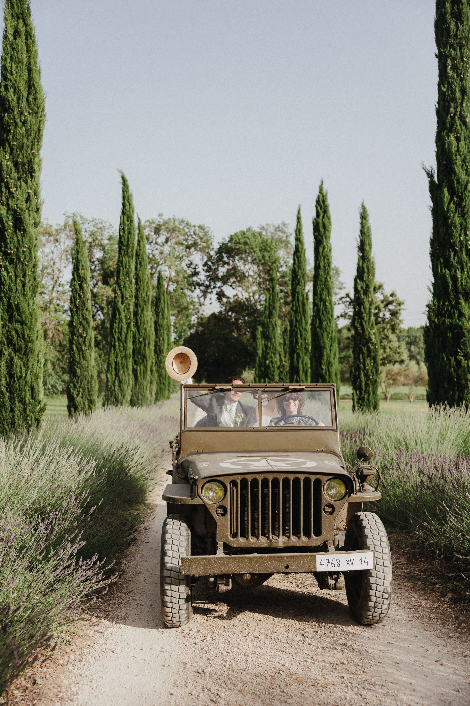 Vintage military Jeep driving through cypress tree-lined path in countryside setting.