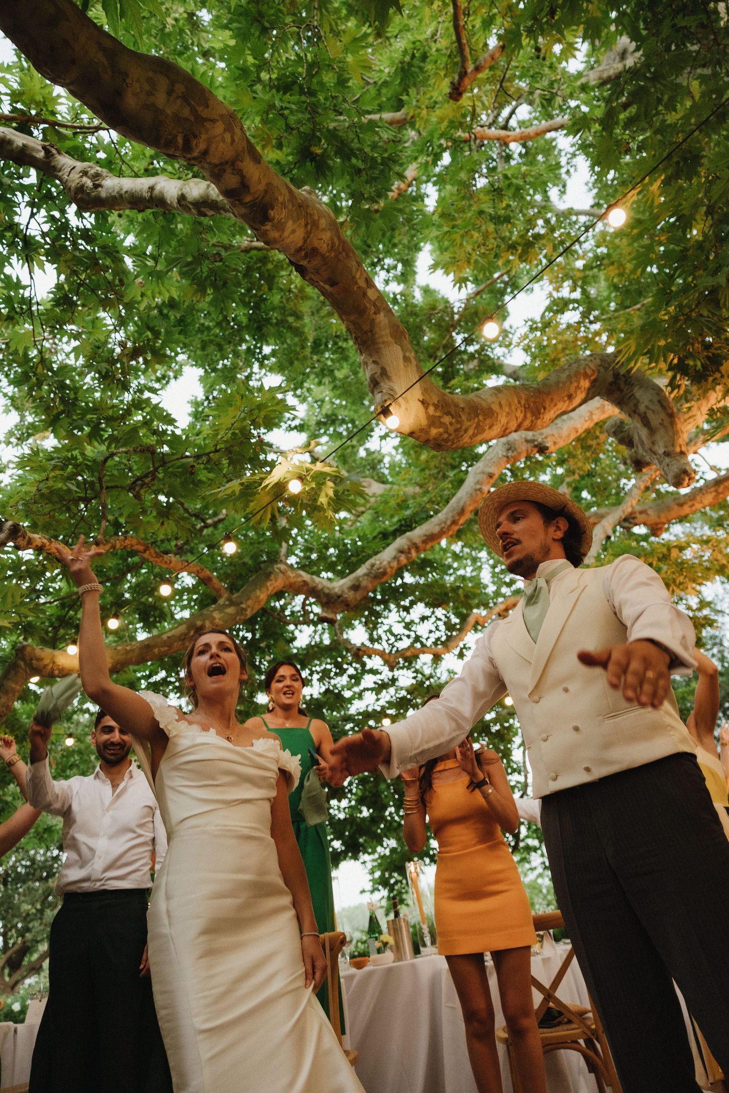 Wedding celebration under a majestic tree with guests dancing in natural outdoor lighting.