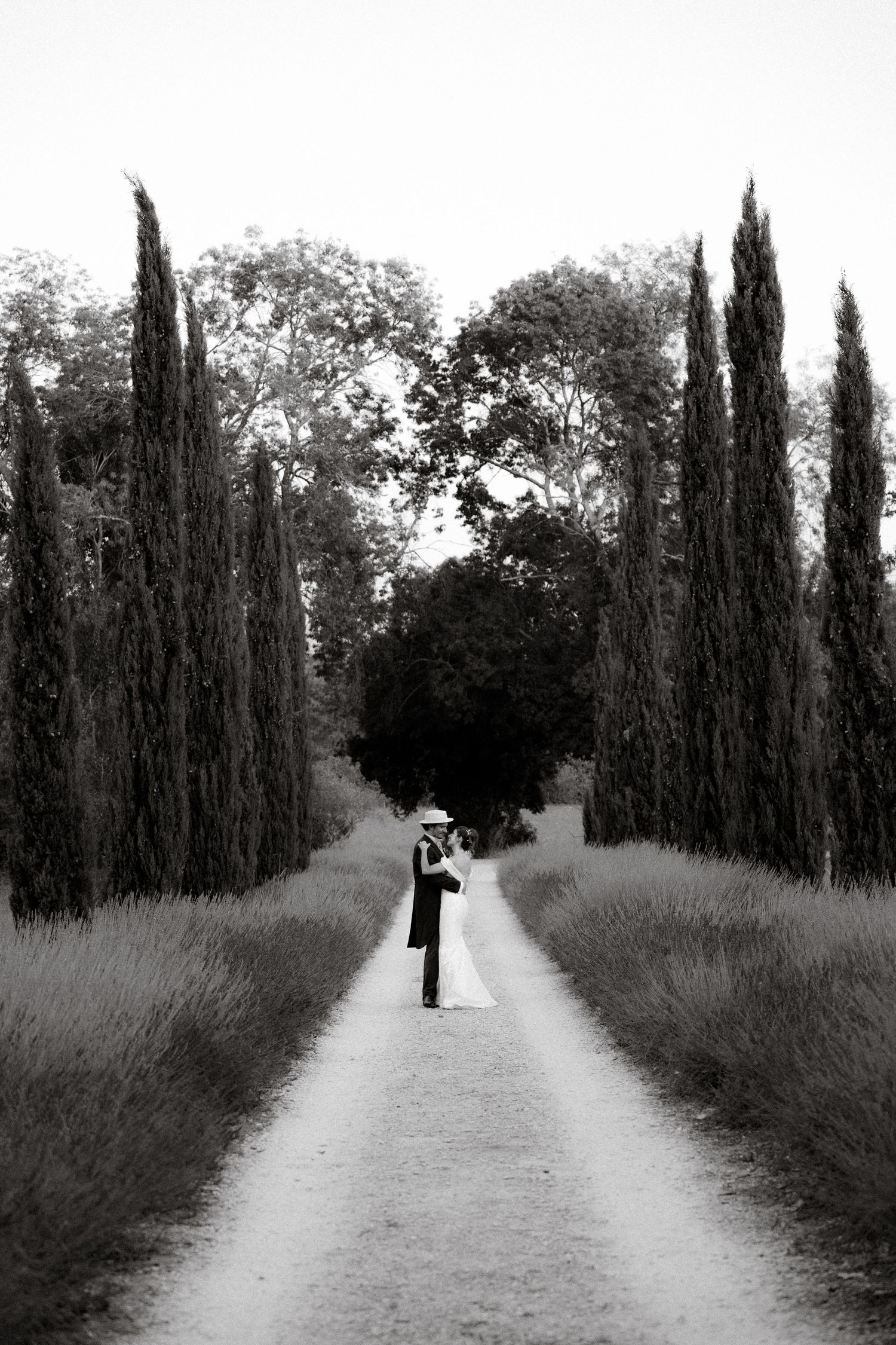 A black and white photo of a cypress tree-lined path with figures in the distance.