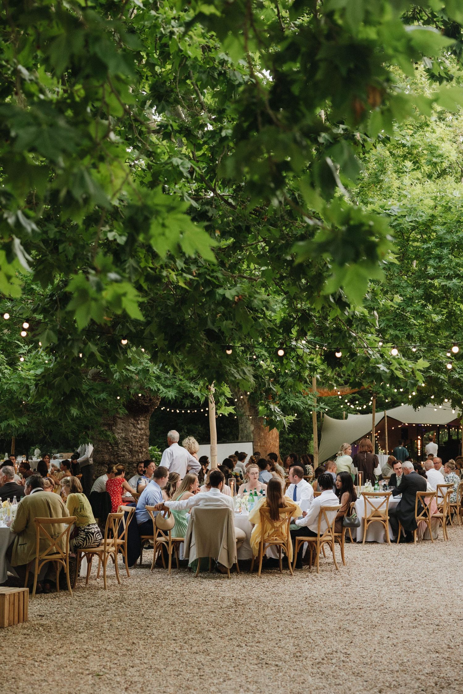 Outdoor wedding reception under tree canopy with string lights and wooden chairs.