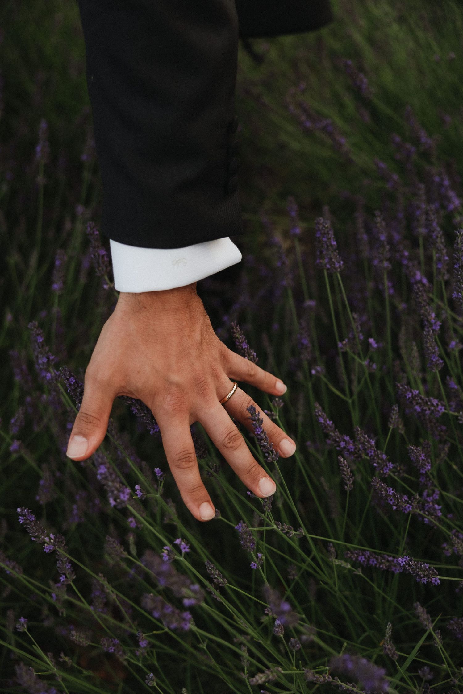 A hand wearing a wedding ring reaches out to touch blooming purple lavender flowers.