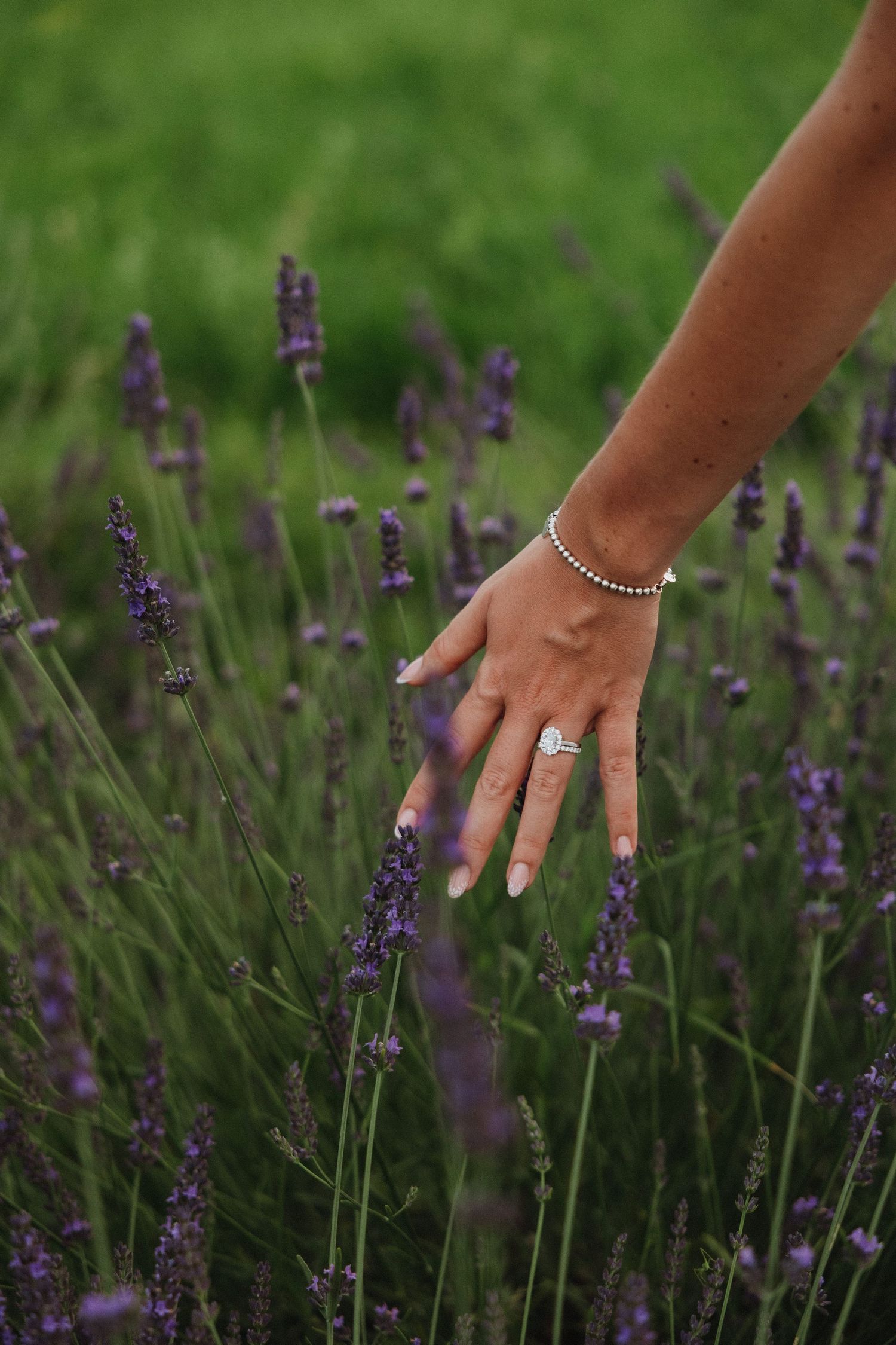 A delicate hand wearing an engagement ring reaches out to touch blooming lavender flowers.