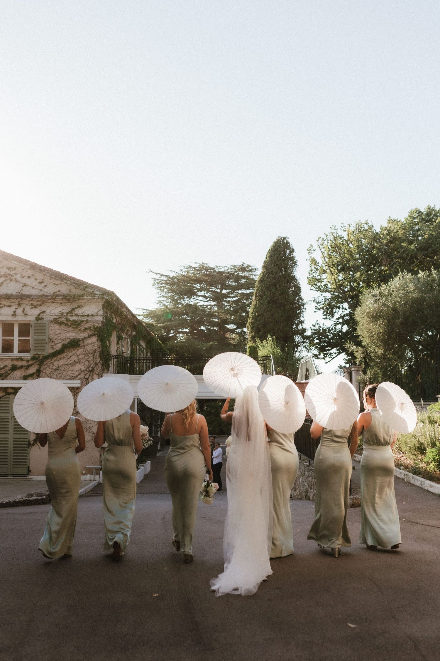 Wedding party walking away from camera with groomsmen in sage green suits and bridesmaids in white dresses.