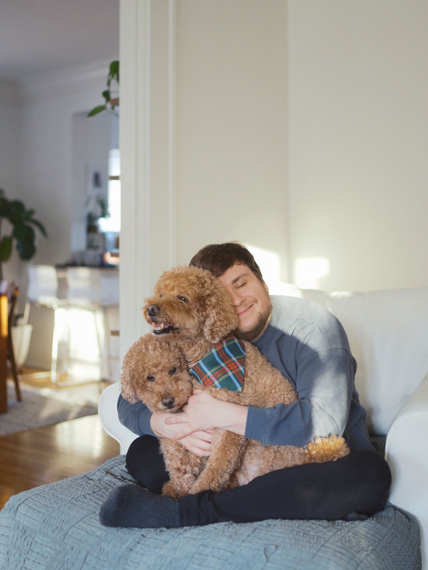 LGBTQ dog parent hugging two curly-haired goldendoodles in a warm Seattle home during a relaxed in-home lifestyle photography session.
