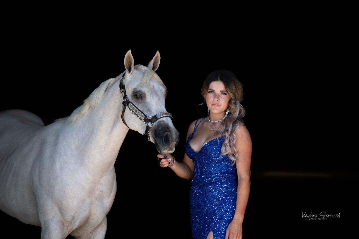 Equine portfolio by Brisbane photographer Kayleen Sheppard, capturing authentic horse and rider connection across Dayboro and Queensland.