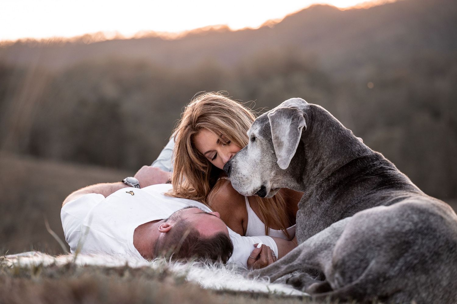 Kayleen Sheppard Photography is a professional equine and wildlife photographer based in Brisbane.