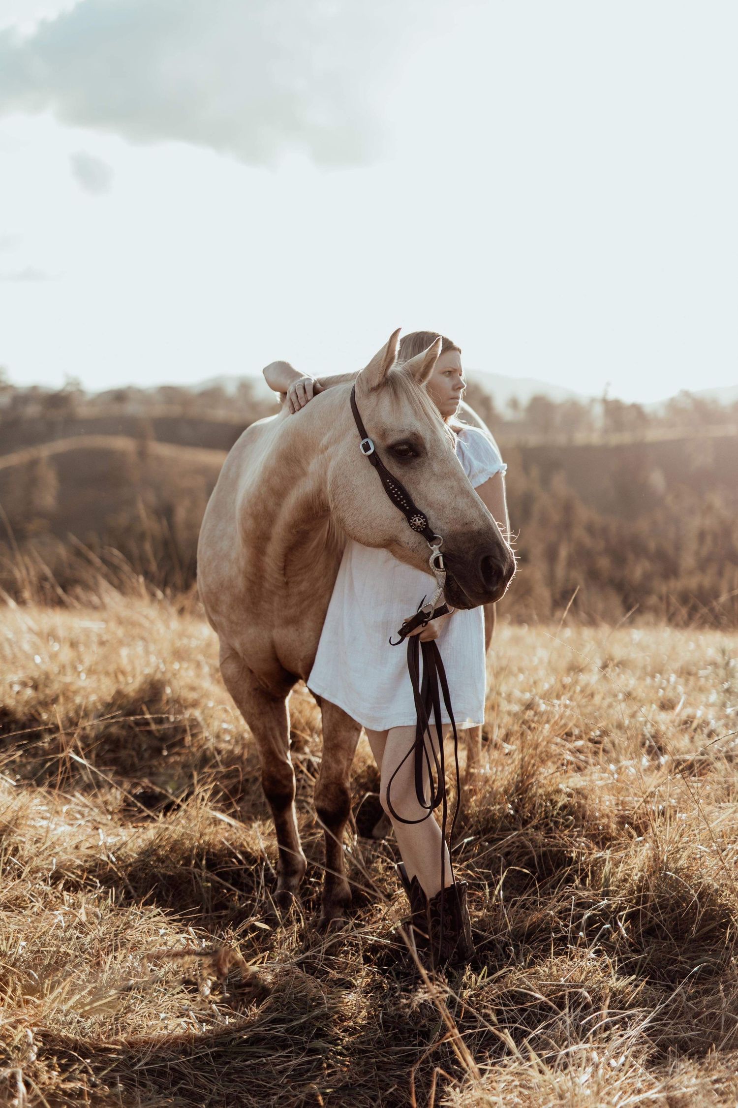 Equine portfolio by Brisbane photographer Kayleen Sheppard, capturing authentic horse and rider connection across Dayboro and Queensland.