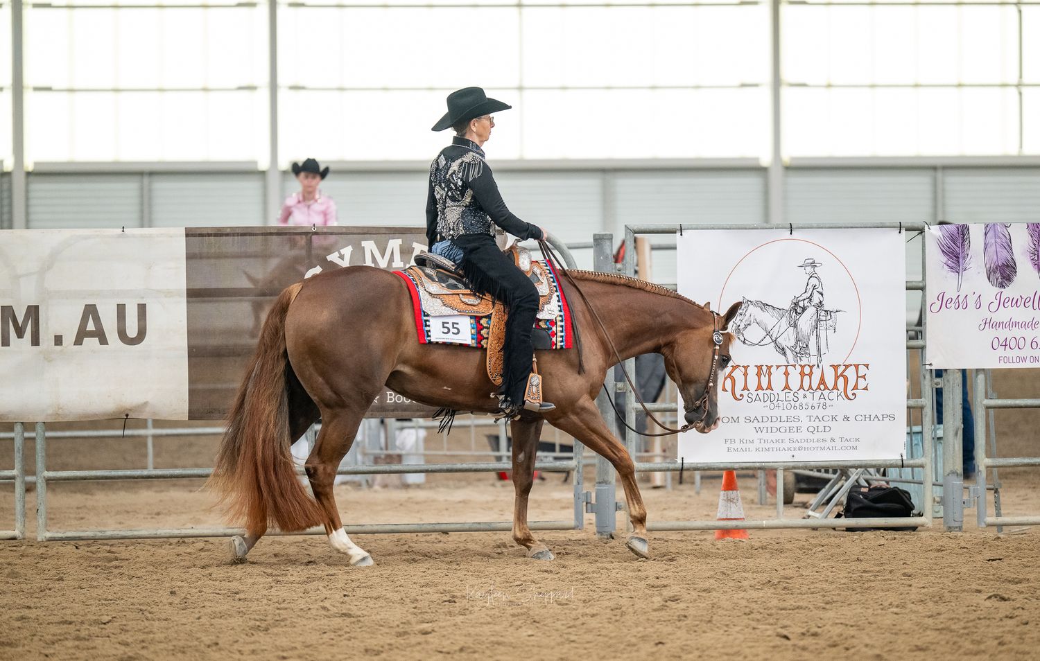 Professional equine photography portfolio featuring western performance horses, heartfelt portraits and show season imagery in Queensland.