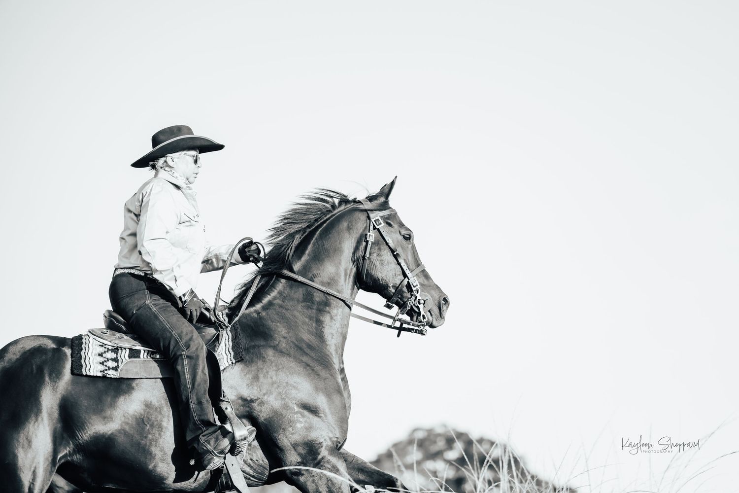 Equine portfolio by Brisbane photographer Kayleen Sheppard, capturing authentic horse and rider connection across Dayboro and Queensland.