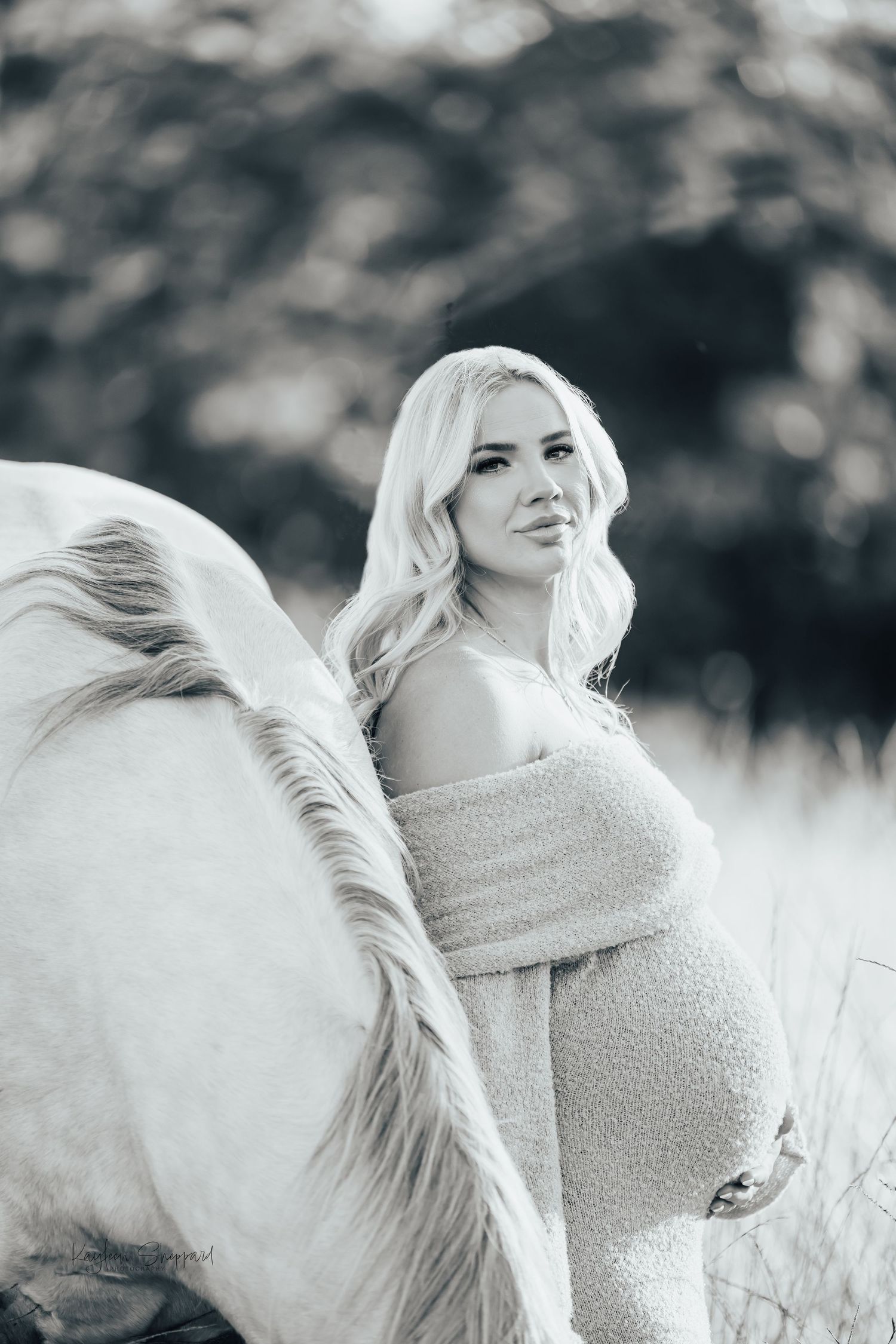 Equine portfolio by Brisbane photographer Kayleen Sheppard, capturing authentic horse and rider connection across Dayboro and Queensland.