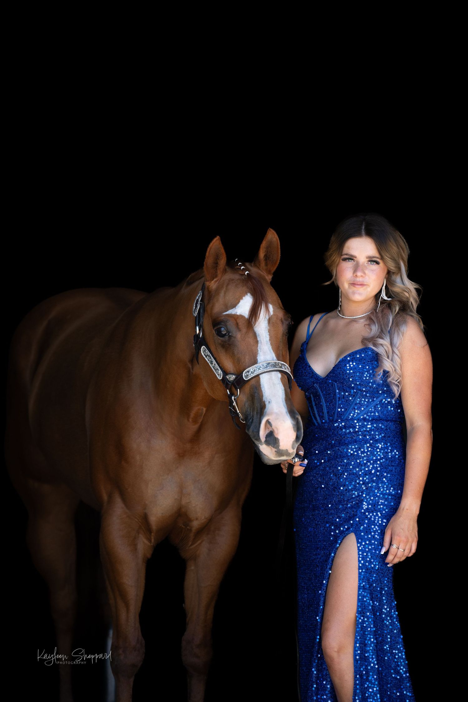 Equine portfolio by Brisbane photographer Kayleen Sheppard, capturing authentic horse and rider connection across Dayboro and Queensland.