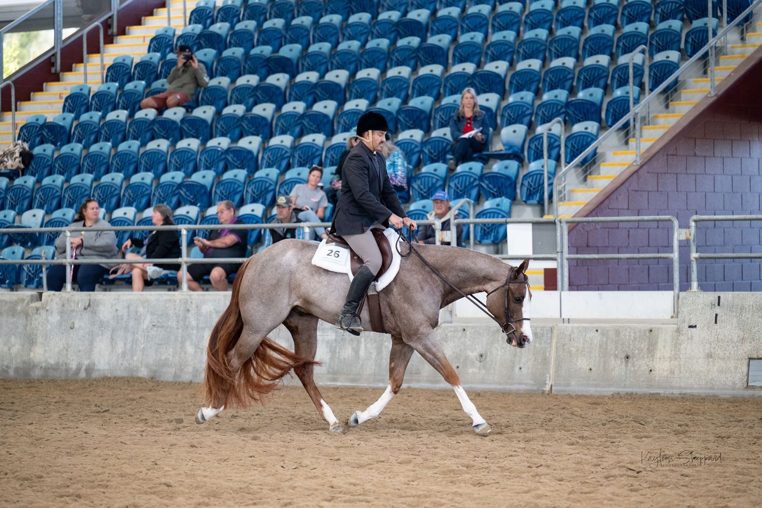 Professional equine photography portfolio featuring western performance horses, heartfelt portraits and show season imagery in Queensland.