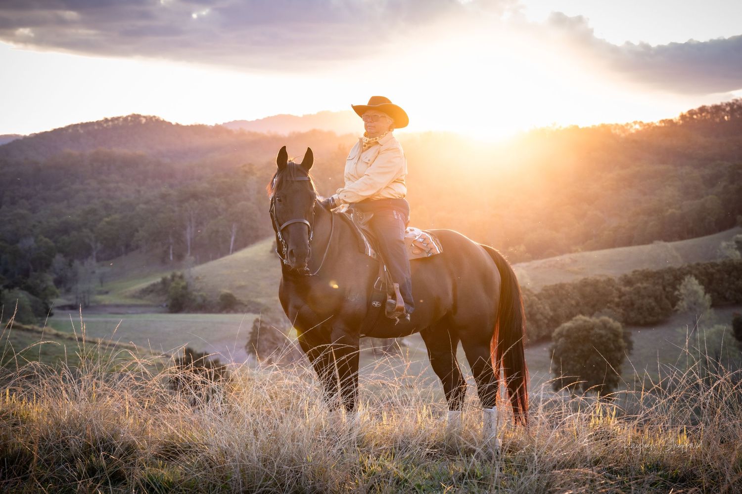 Equine portfolio by Brisbane photographer Kayleen Sheppard, capturing authentic horse and rider connection across Dayboro and Queensland.