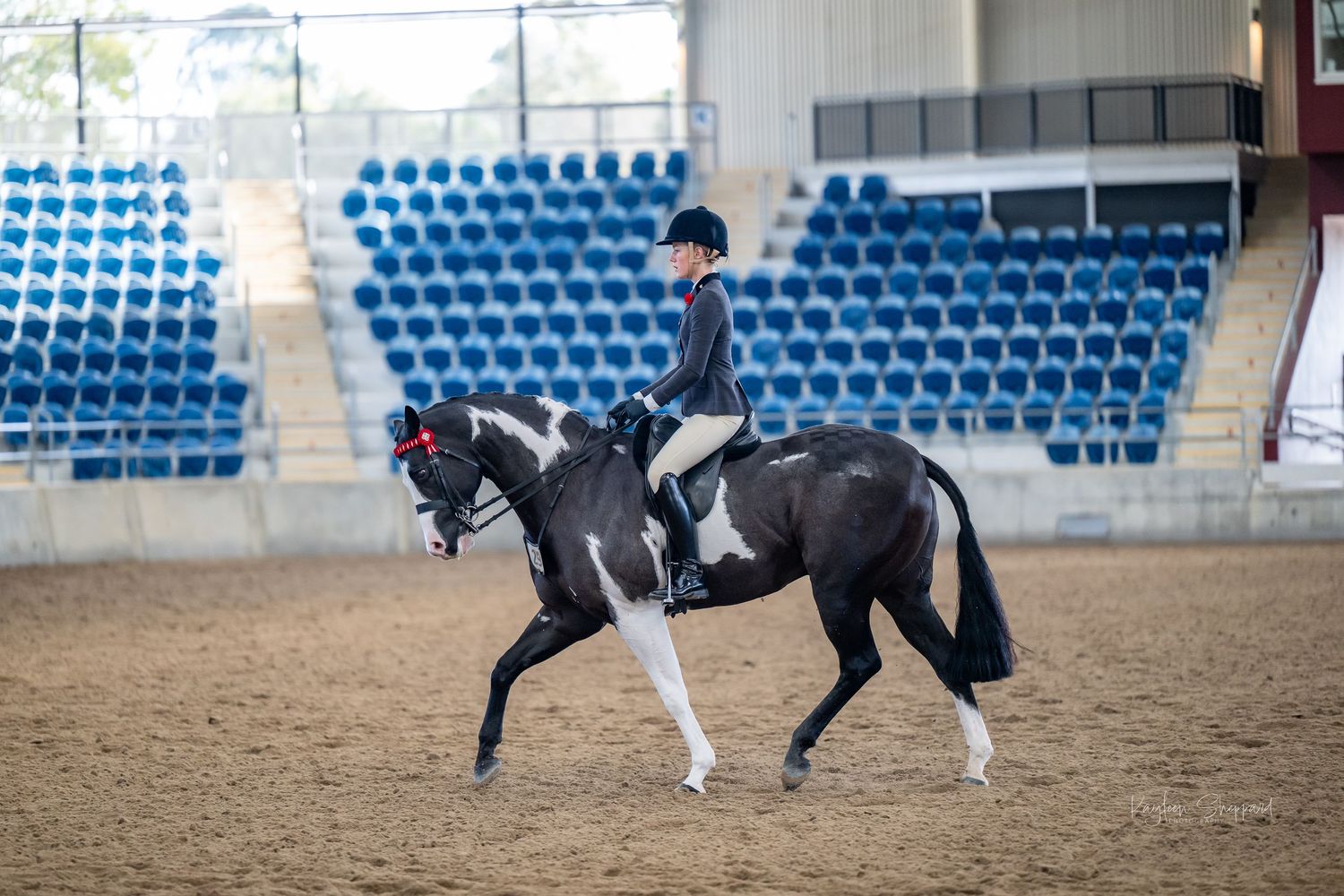 Professional equine photography portfolio featuring western performance horses, heartfelt portraits and show season imagery in Queensland.