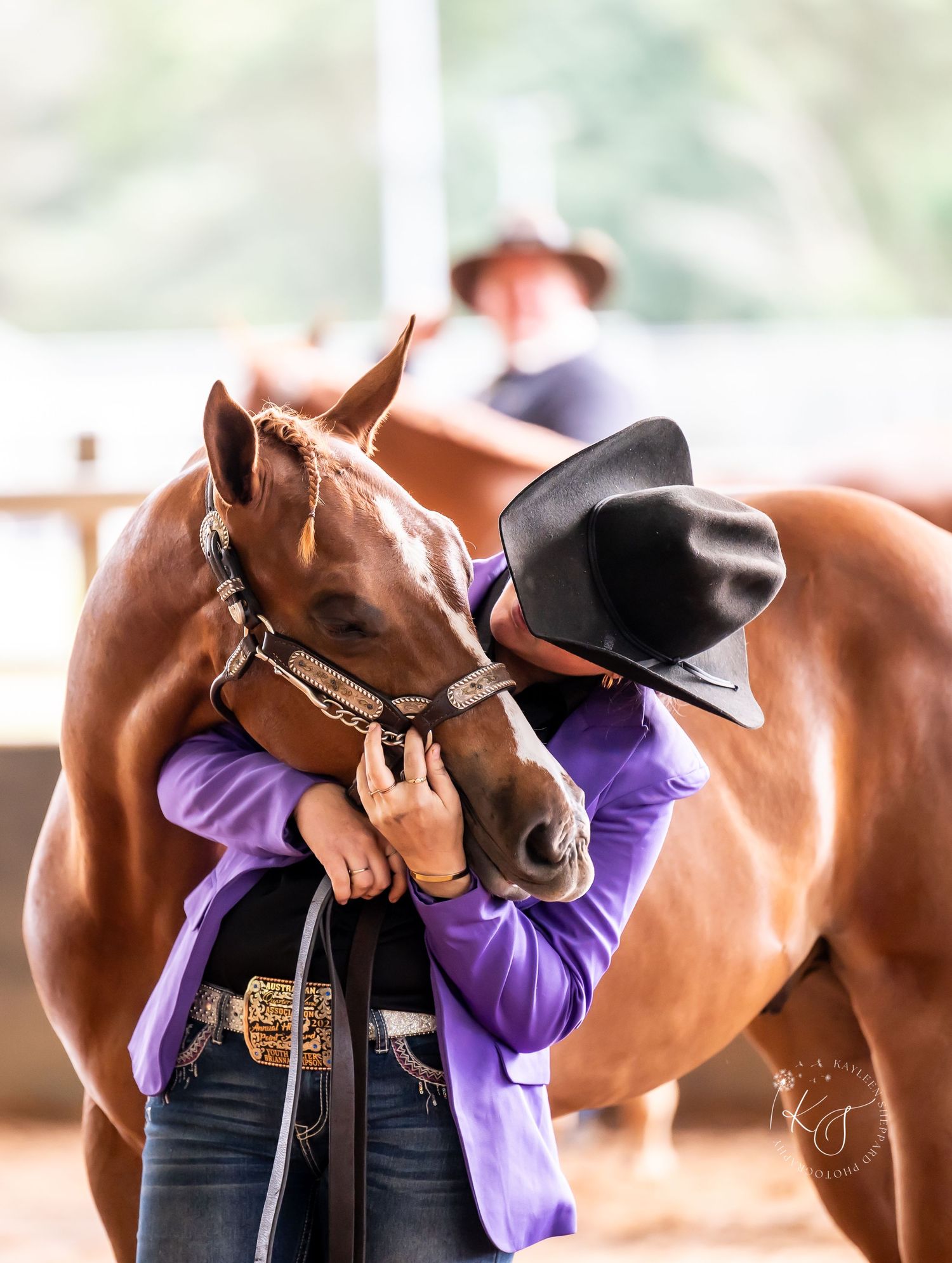 Professional equine photography portfolio featuring western performance horses, heartfelt portraits and show season imagery in Queensland.