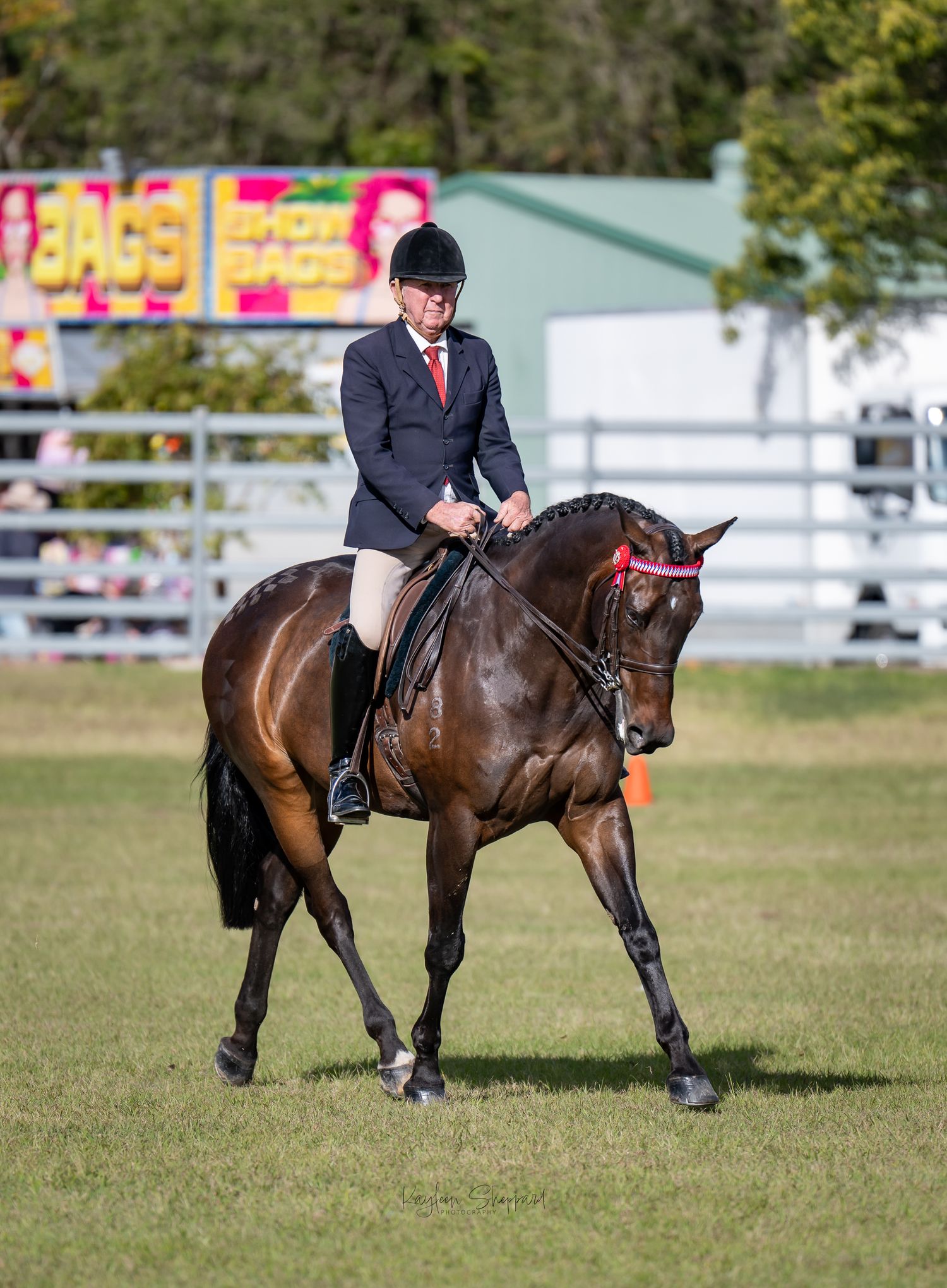 Professional equine photography portfolio featuring western performance horses, heartfelt portraits and show season imagery in Queensland.