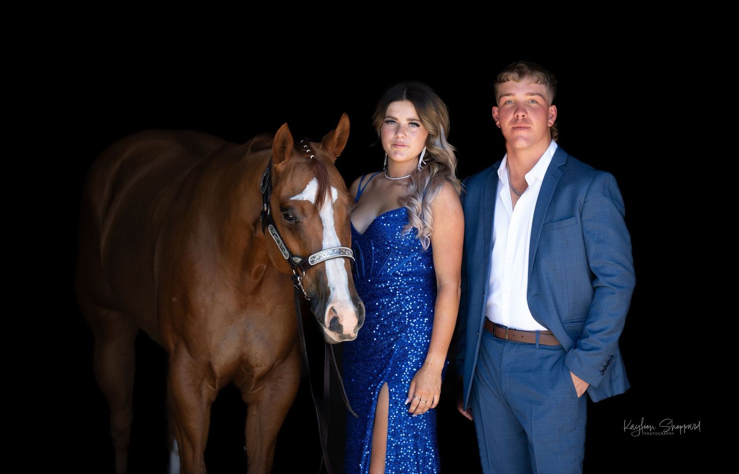 Equine portfolio by Brisbane photographer Kayleen Sheppard, capturing authentic horse and rider connection across Dayboro and Queensland.