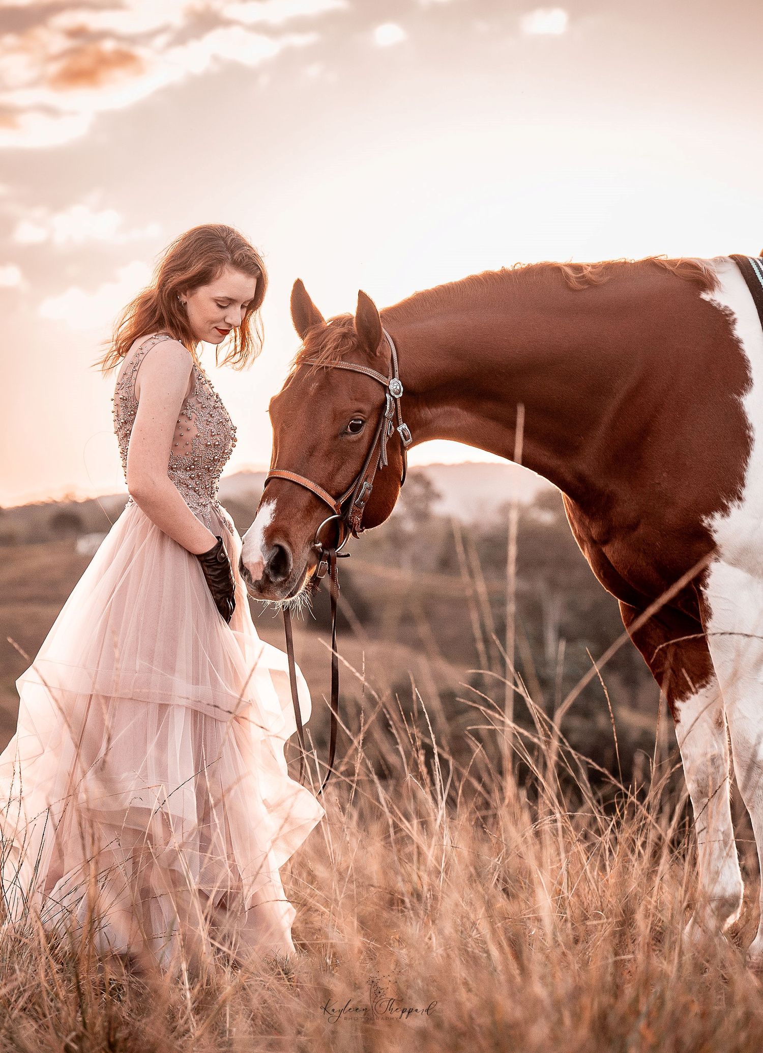 Equine portfolio by Brisbane photographer Kayleen Sheppard, capturing authentic horse and rider connection across Dayboro and Queensland.