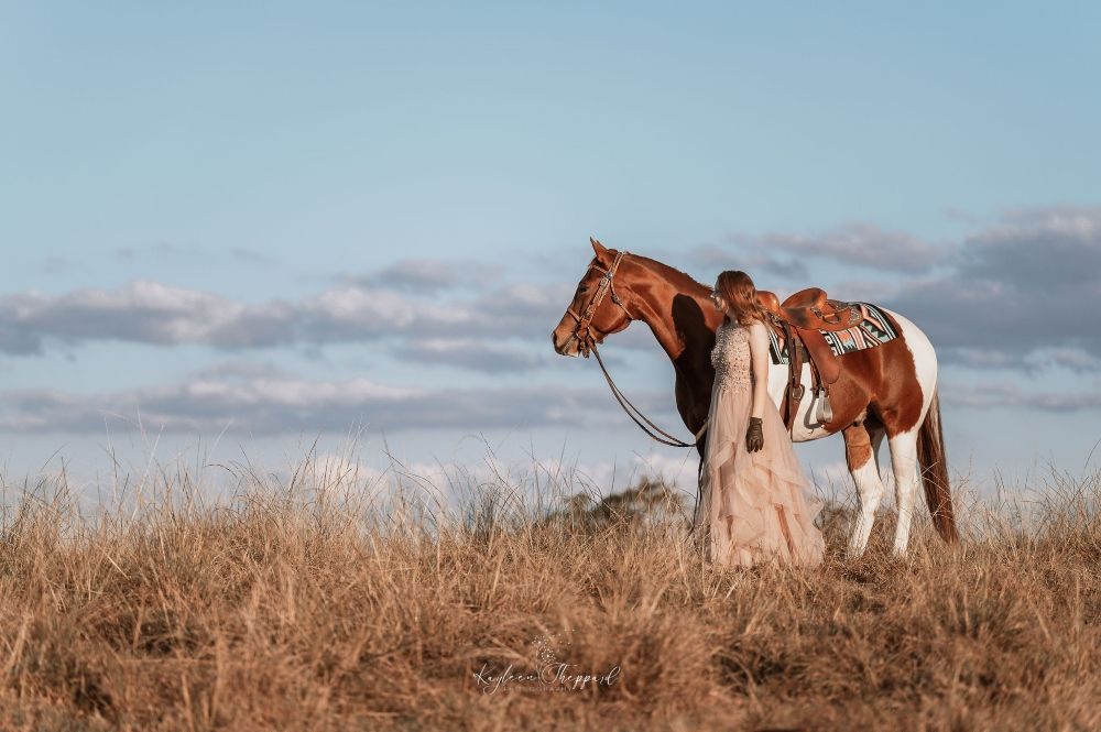 Equine portfolio by Brisbane photographer Kayleen Sheppard, capturing authentic horse and rider connection across Dayboro and Queensland.
