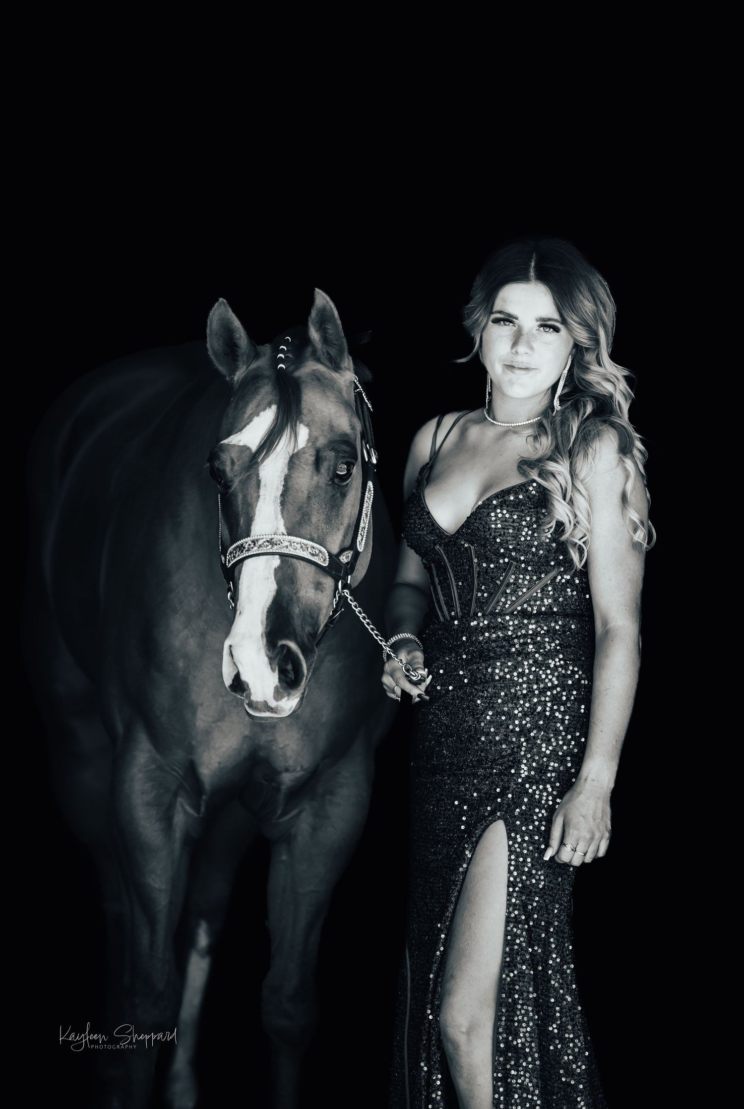 Equine portfolio by Brisbane photographer Kayleen Sheppard, capturing authentic horse and rider connection across Dayboro and Queensland.