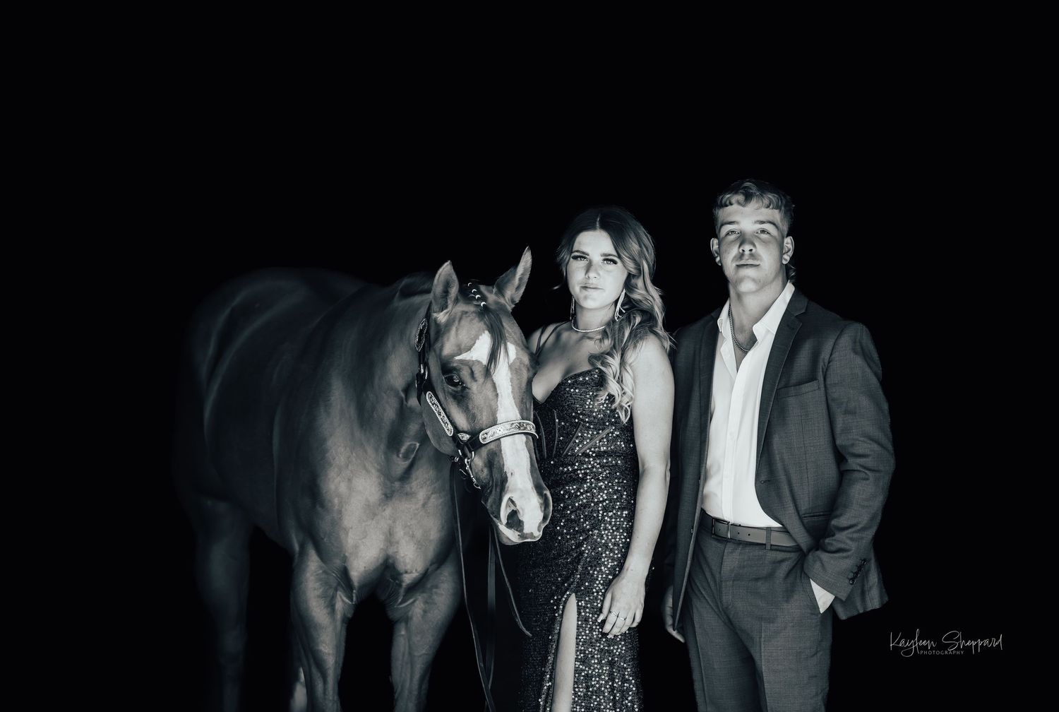 Equine portfolio by Brisbane photographer Kayleen Sheppard, capturing authentic horse and rider connection across Dayboro and Queensland.