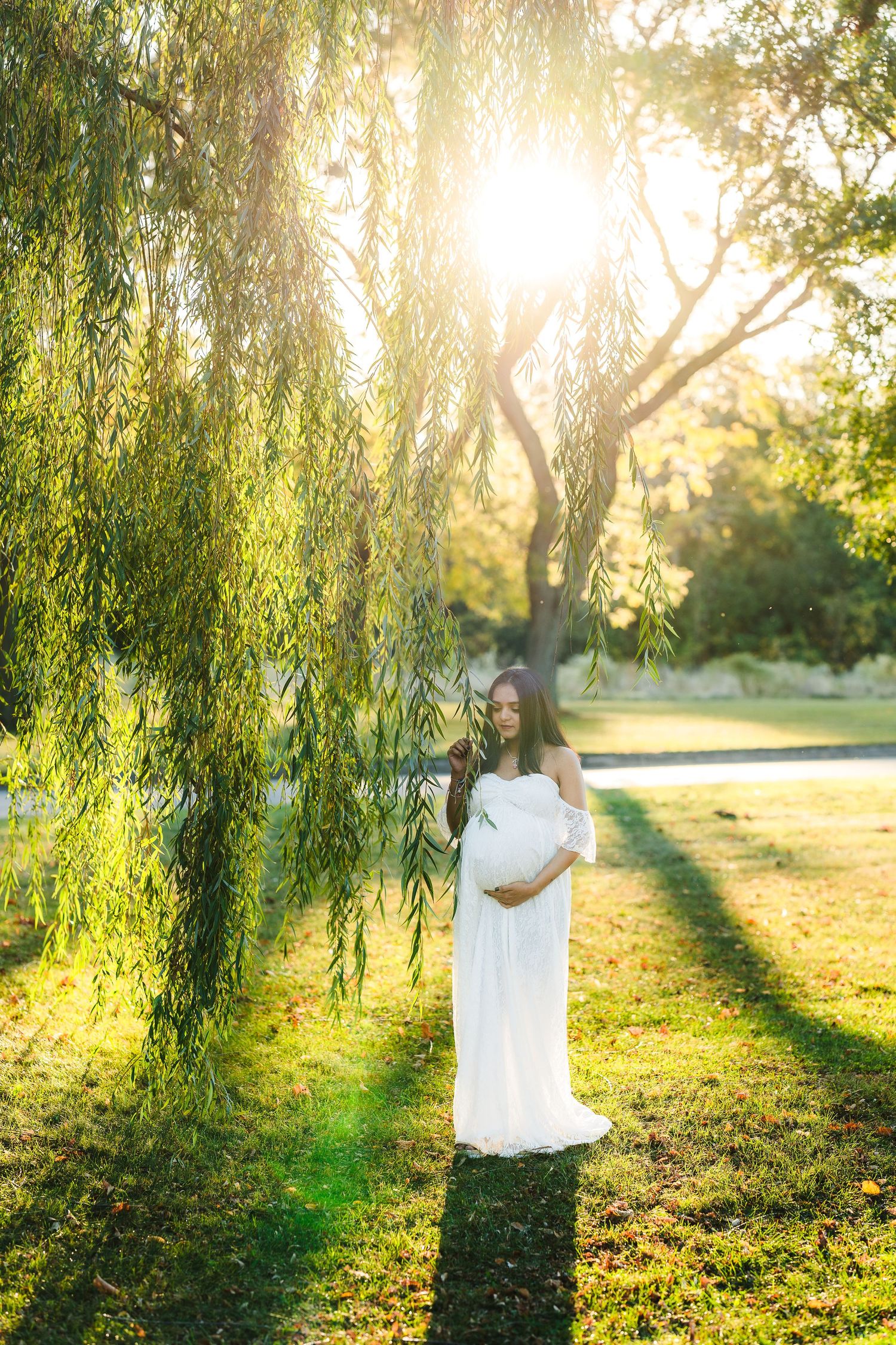 Ethereal maternity portrait under willow tree branches with streaming sunlight.