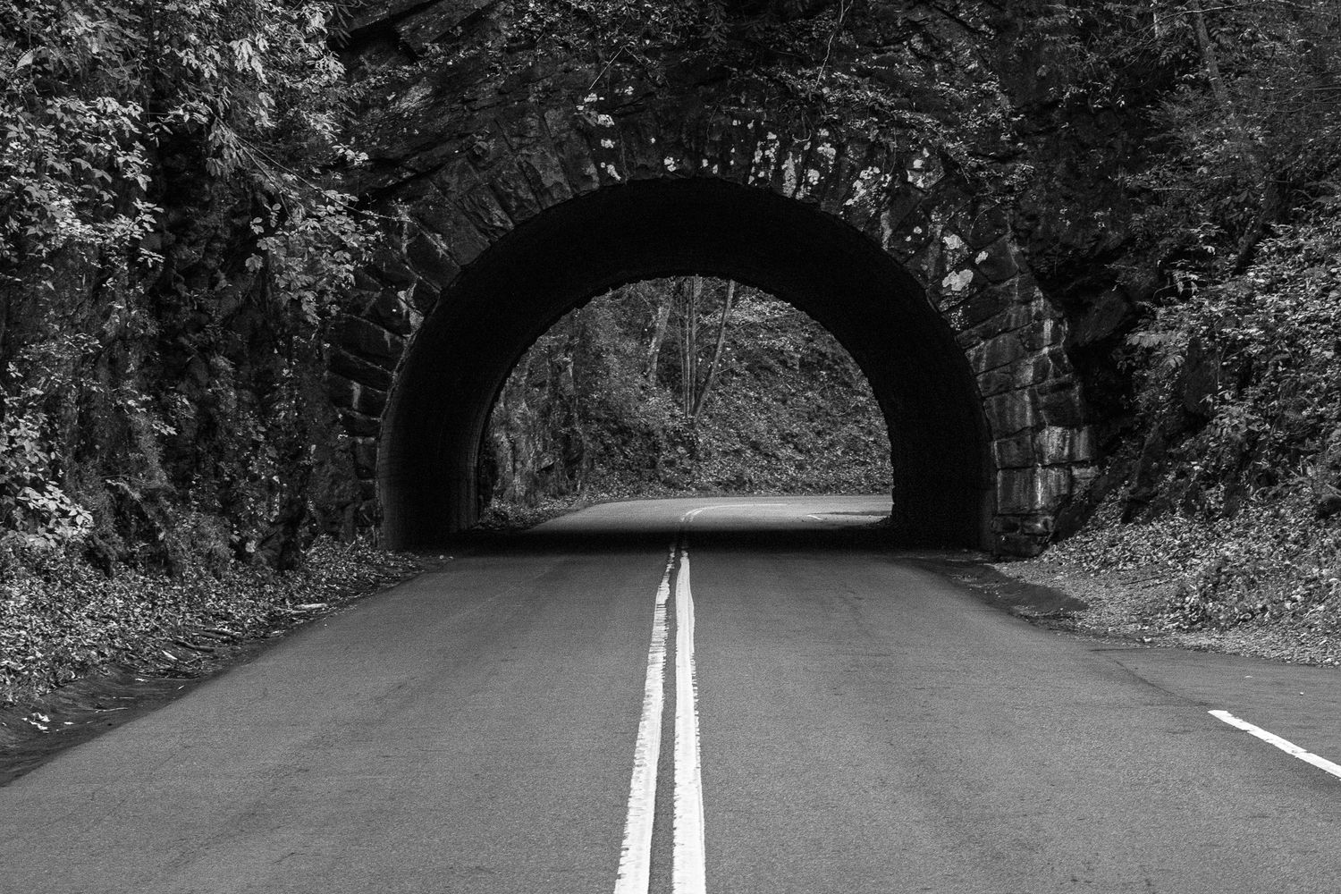 cades cove Tennessee, bridge