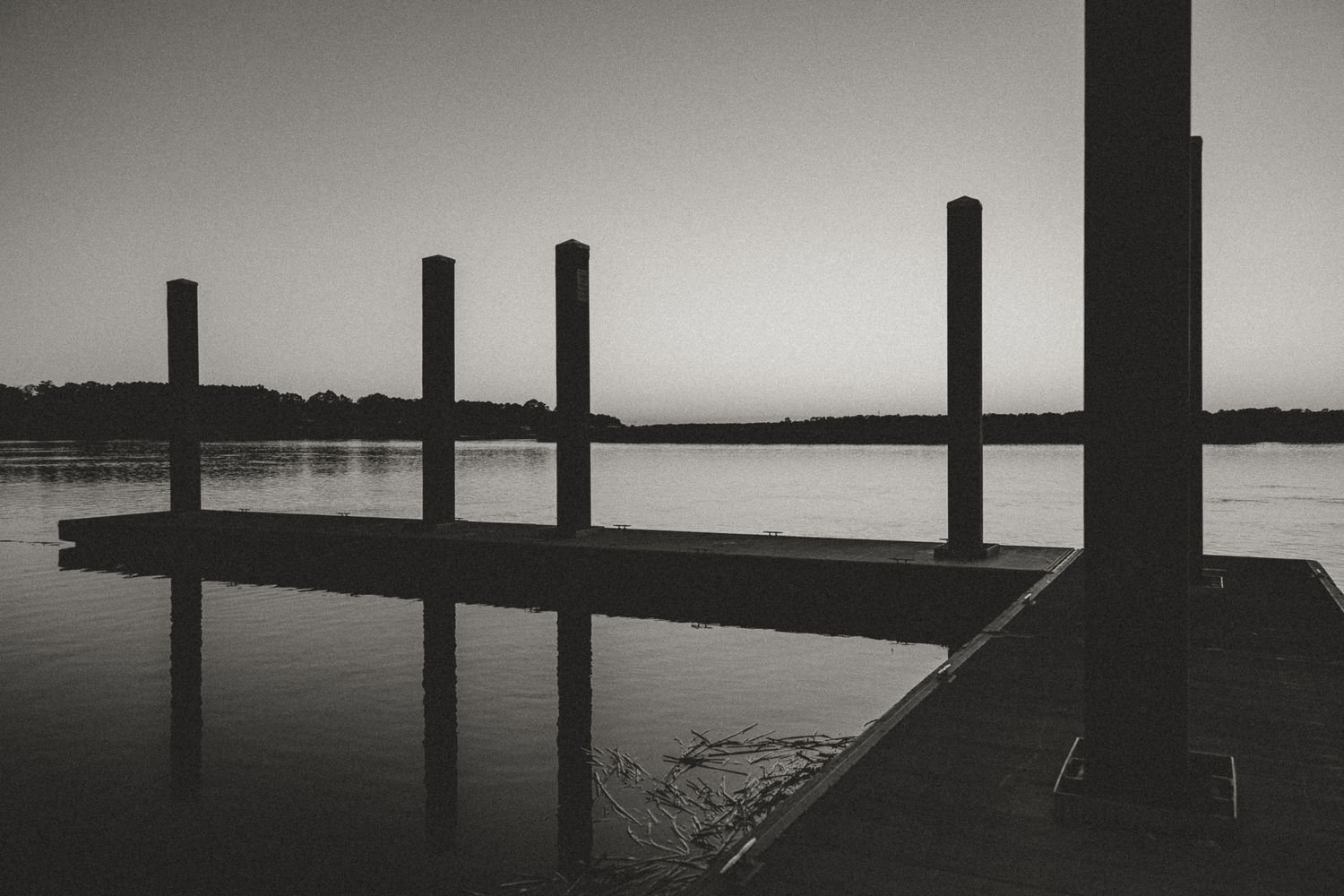 South Carolina low country