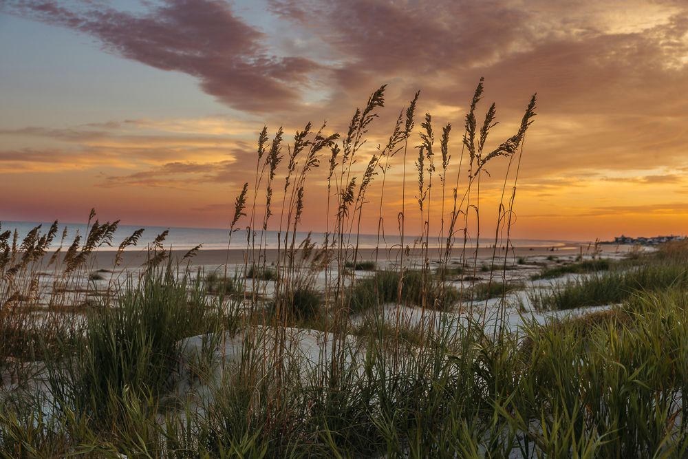 Beach, South Carolina, Fripp Island, Beaufort, SC, landscape, sunset