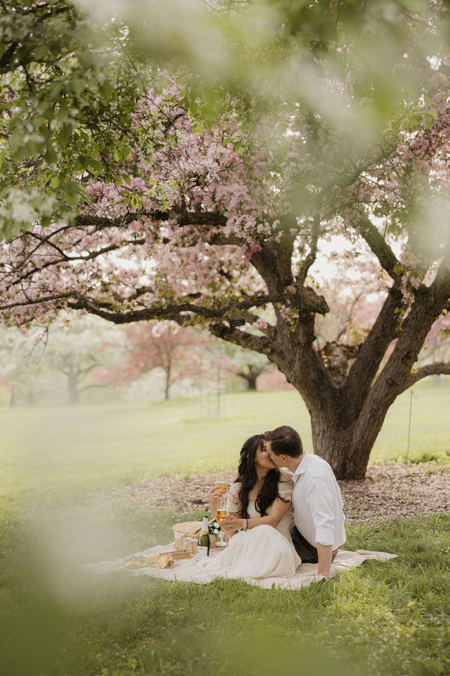 Romantic picnic scene under blooming cherry blossom tree on grassy hillside in springtime.