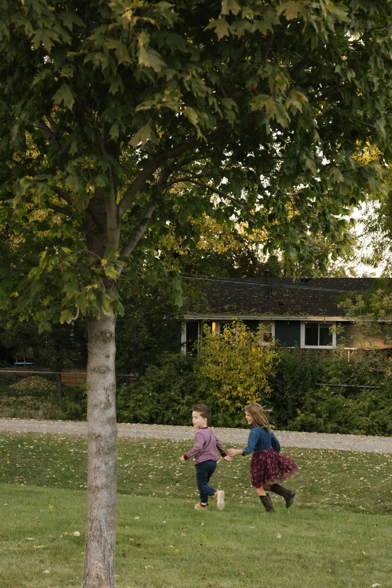 Children run and play together on a grassy hill beneath tall trees on an autumn day.
