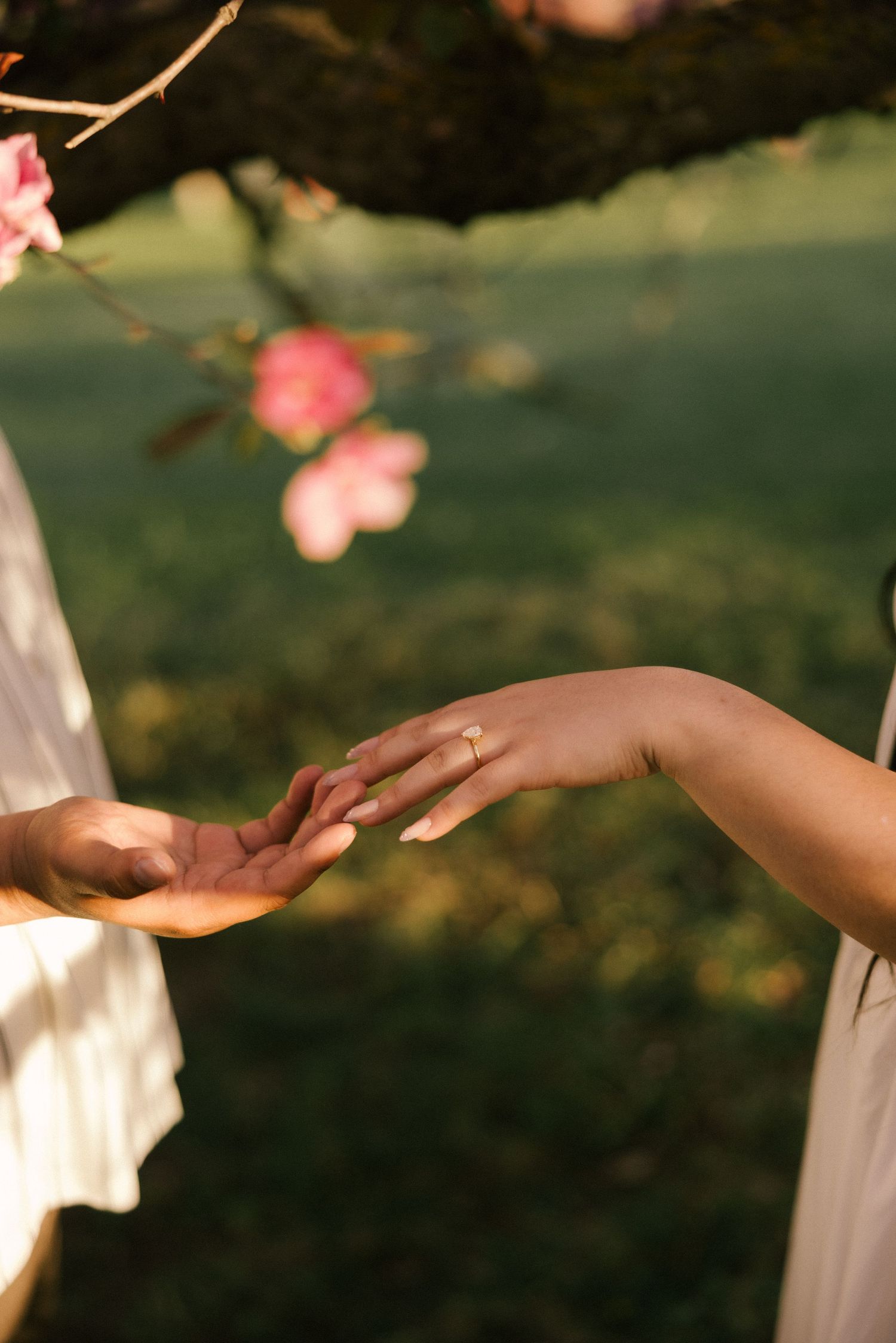 Two people gently holding hands outdoors under a flowering tree, wearing white outfits in warm golden sunlight.