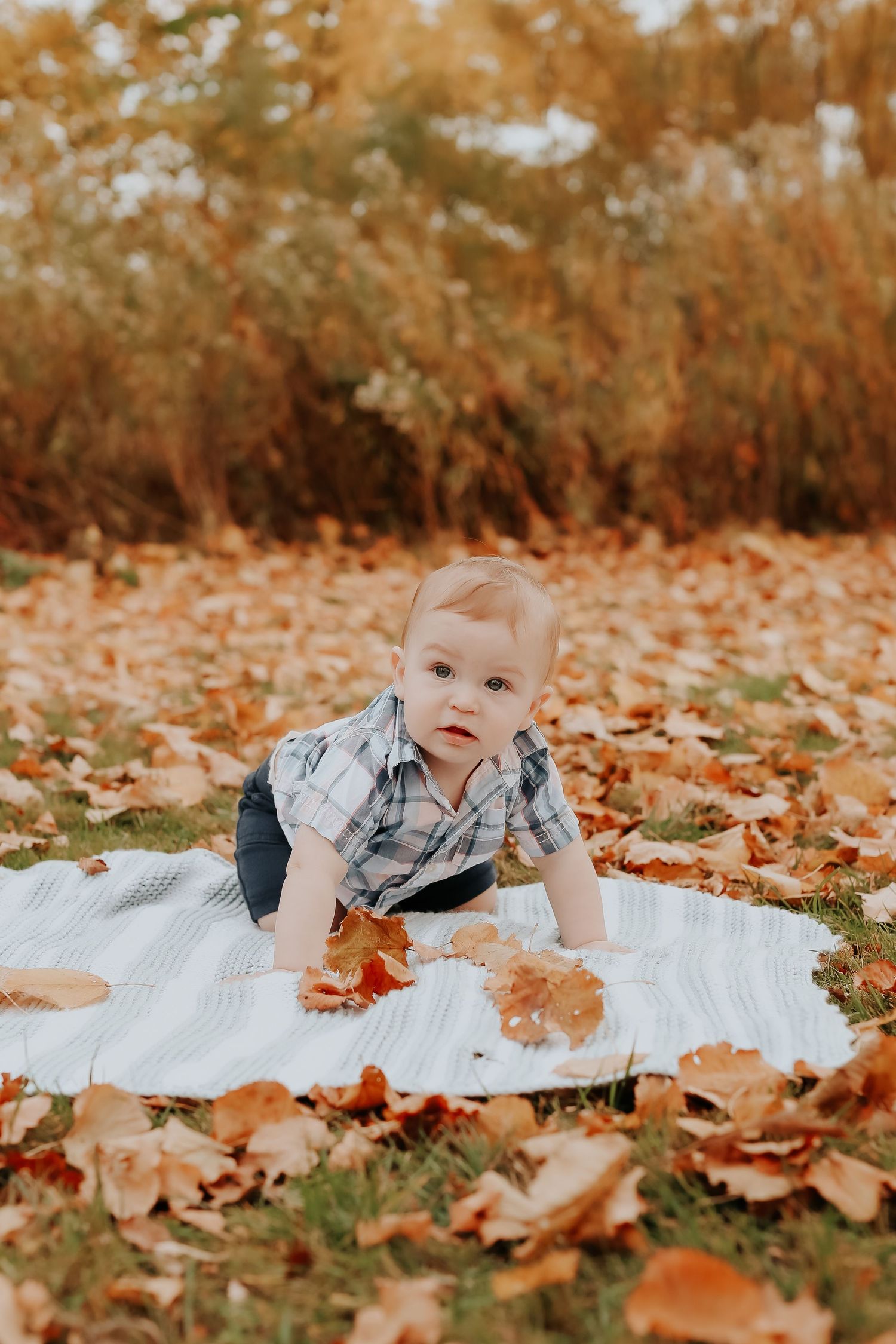 A baby in plaid crawls on a blanket surrounded by fallen autumn leaves.
