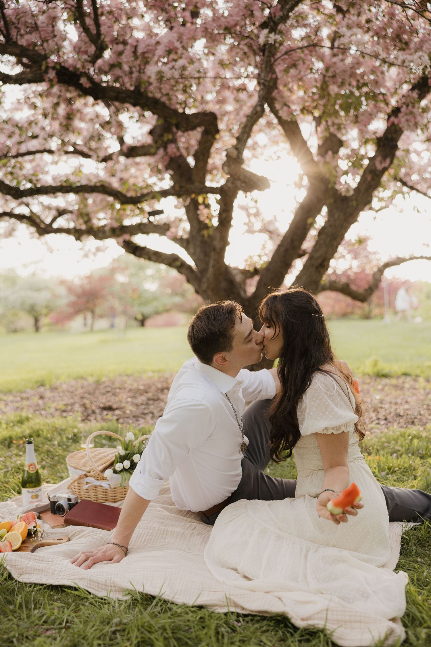 Couple shares romantic picnic under blooming cherry blossom trees as sunlight filters through pink petals.
