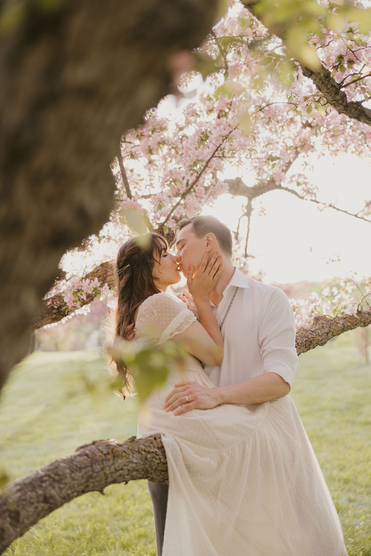 A couple shares a tender moment under blooming cherry blossoms in a sun-drenched spring garden.