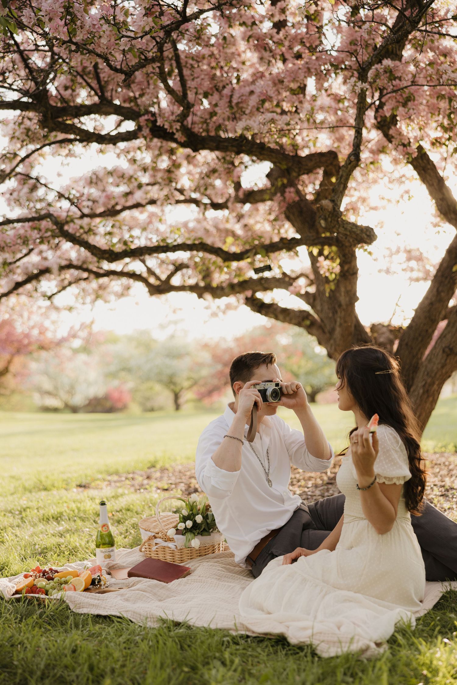 A romantic picnic scene under blooming cherry blossom trees with a vintage camera and picnic spread on a blanket.