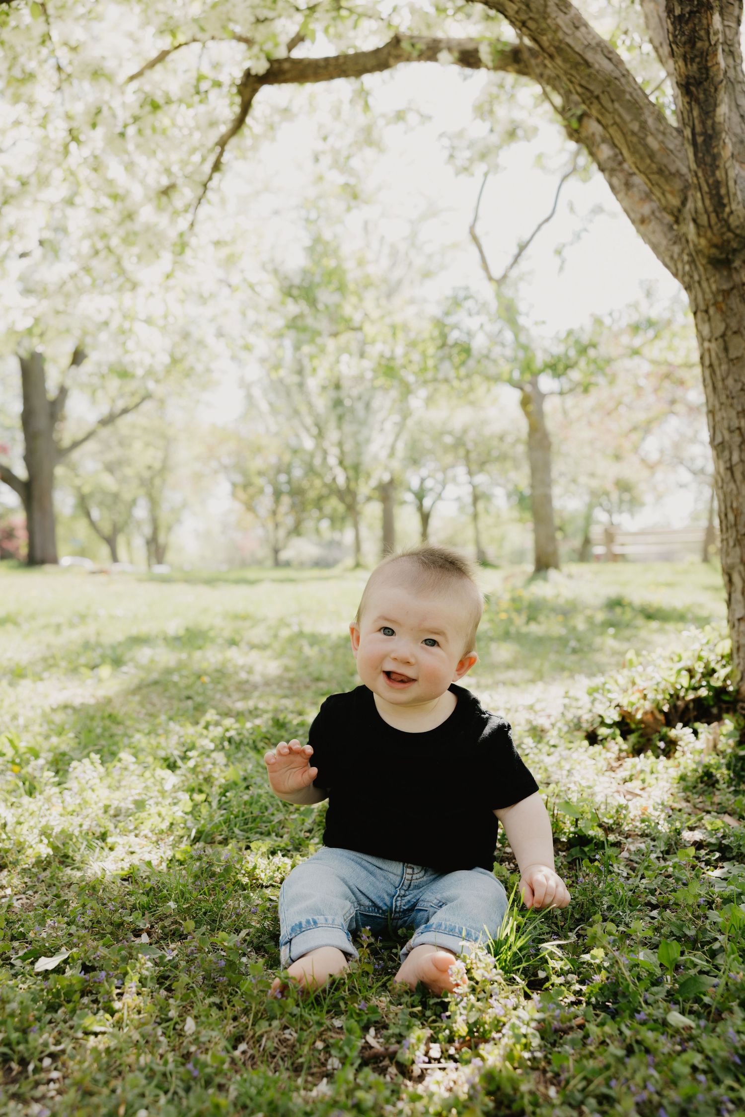 A baby wearing a black t-shirt and jeans sits on grass under blooming spring trees in soft natural light.