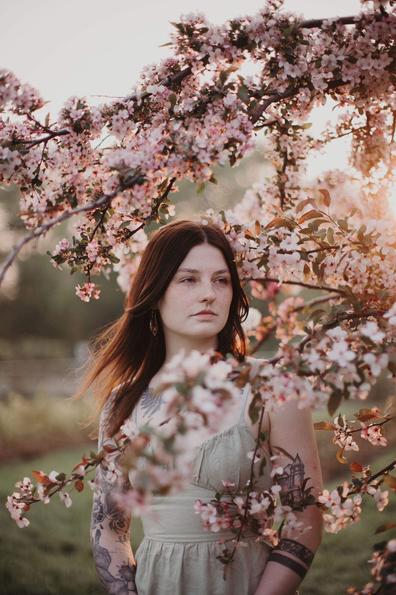 Spring portrait with cherry blossoms framing subject in vintage dress at sunset.