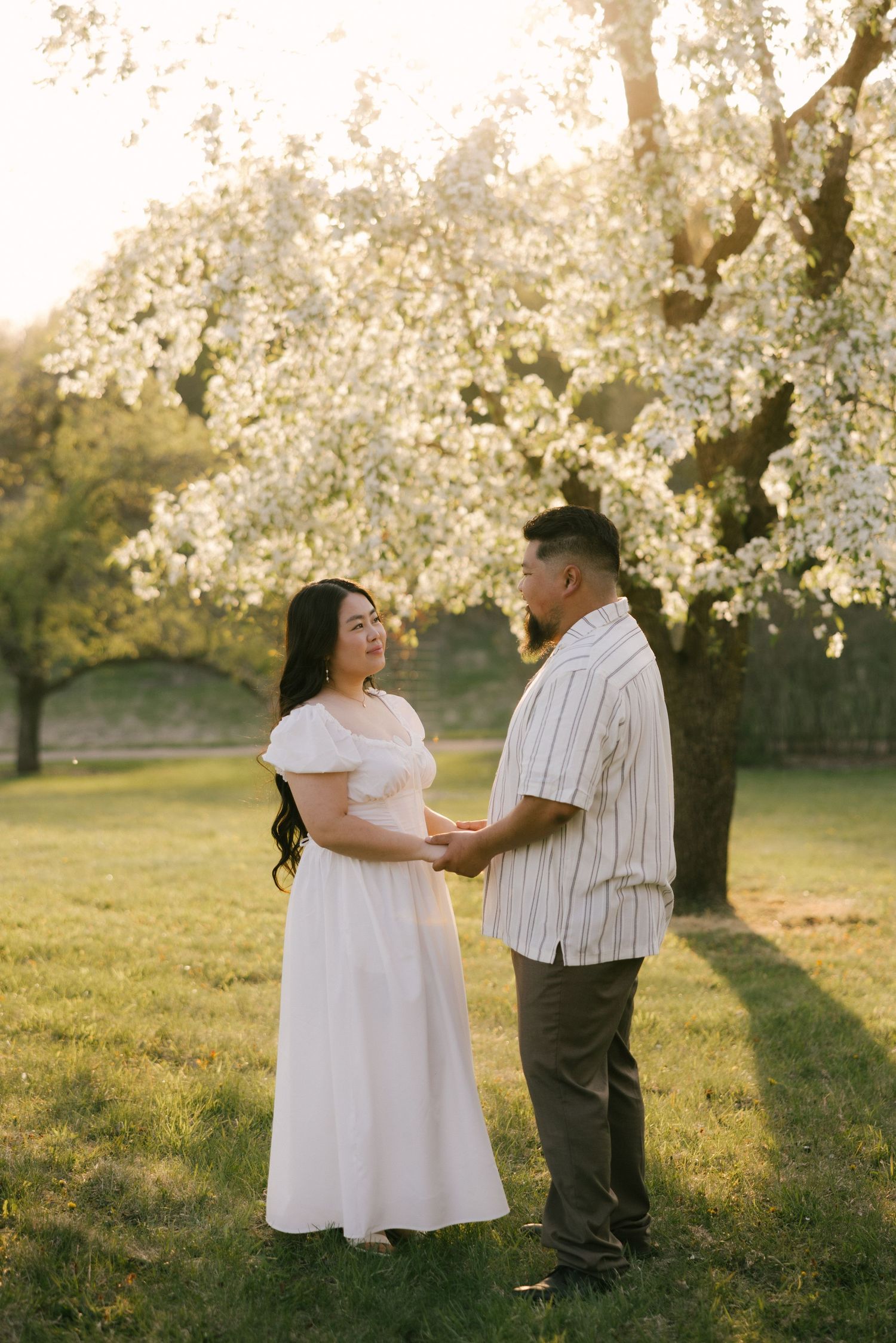 Couple holding hands in golden hour light before blooming white cherry blossom tree on green grass.