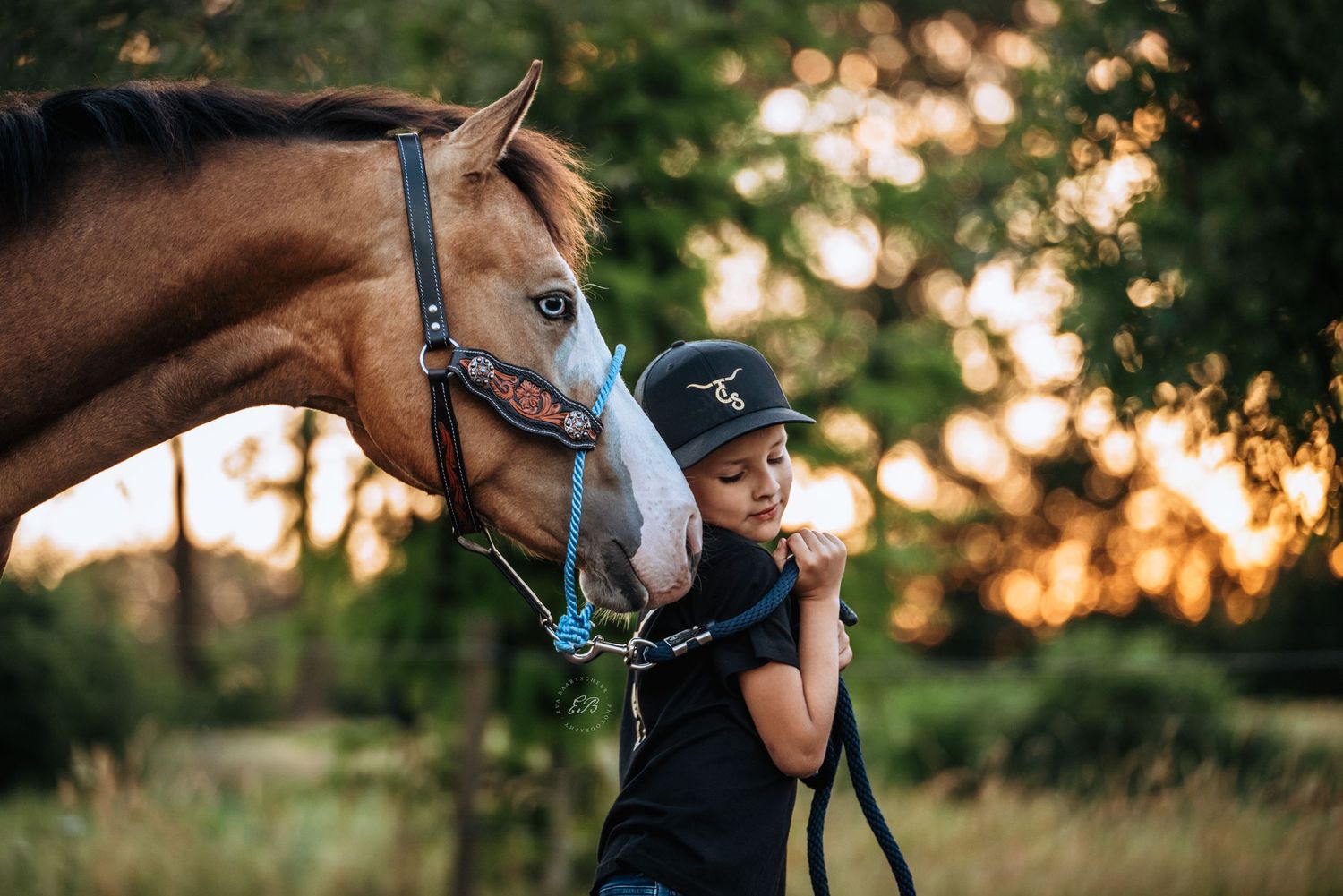 Paard