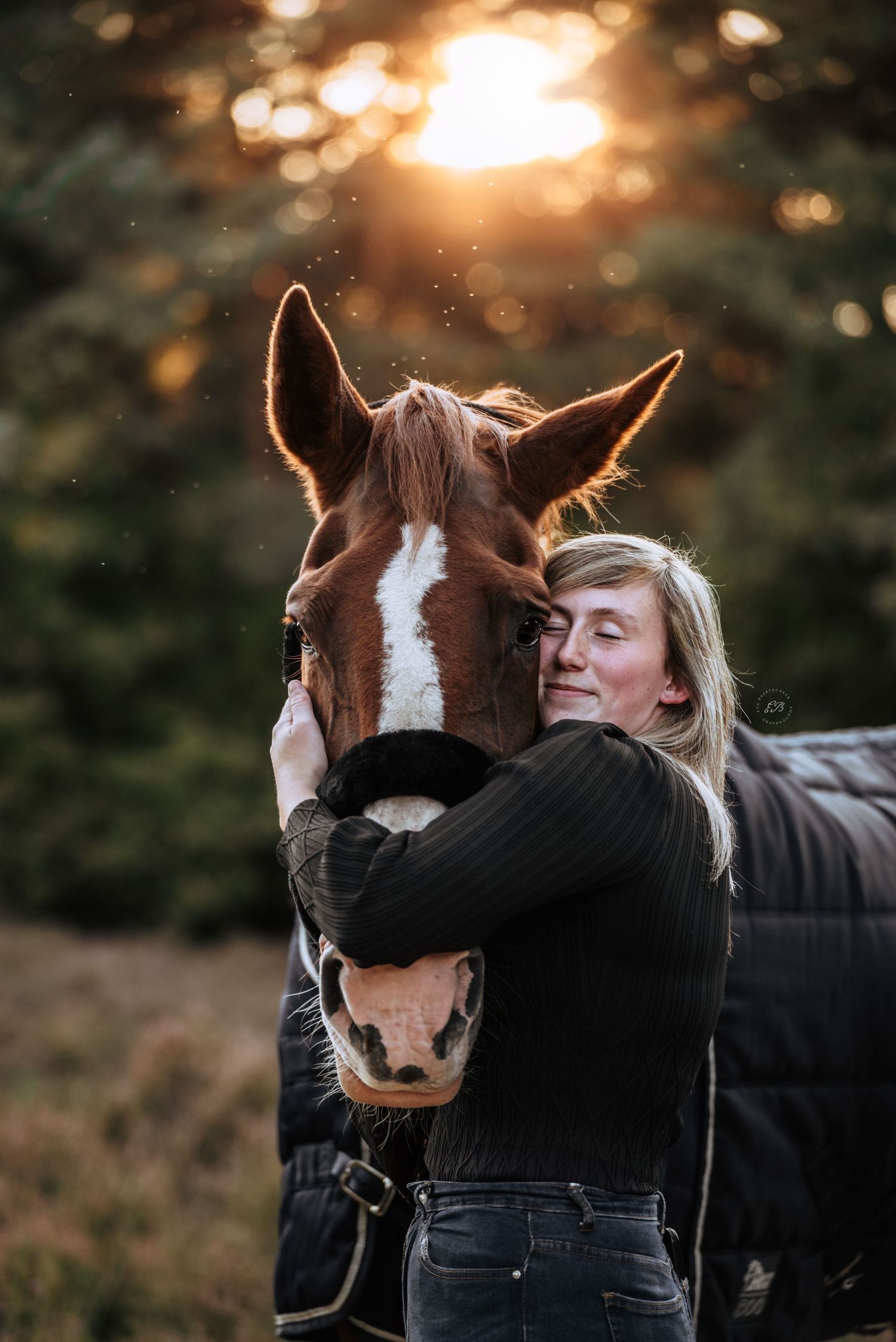 Paard