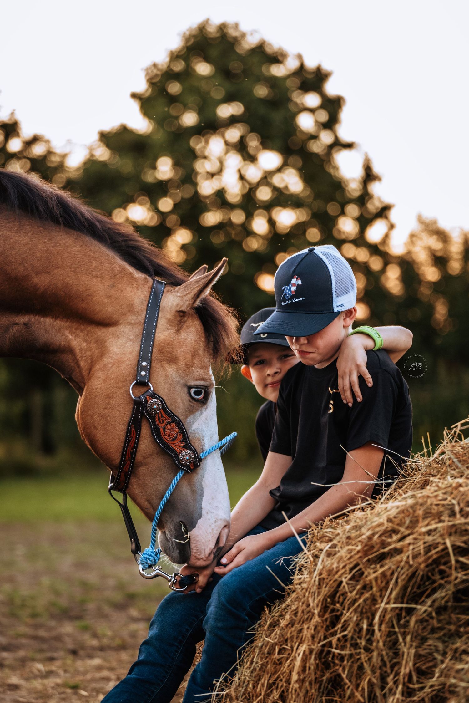 Paard met kinderen