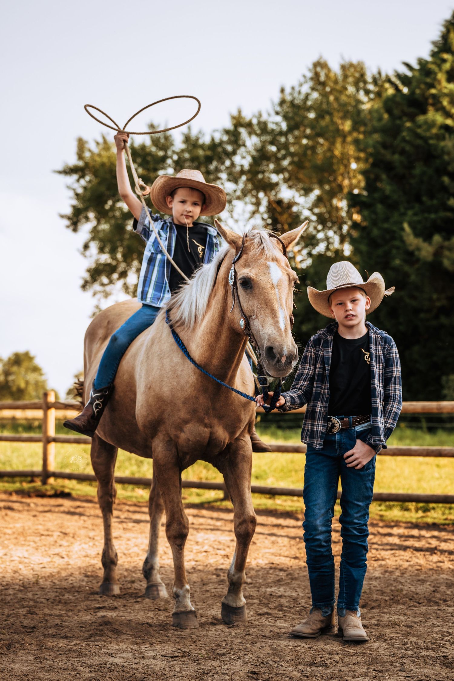 Cowboys met paard